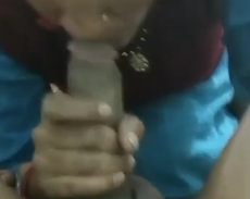 Desi maid blowing dick MMS video